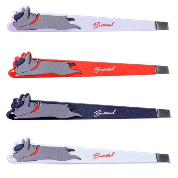 Szemöldökcsipesz - Bertrand th, a Francia Bulldog